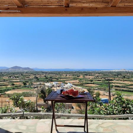 Janakos View Apartment With Private Pool Glinado Naxos Extérieur photo