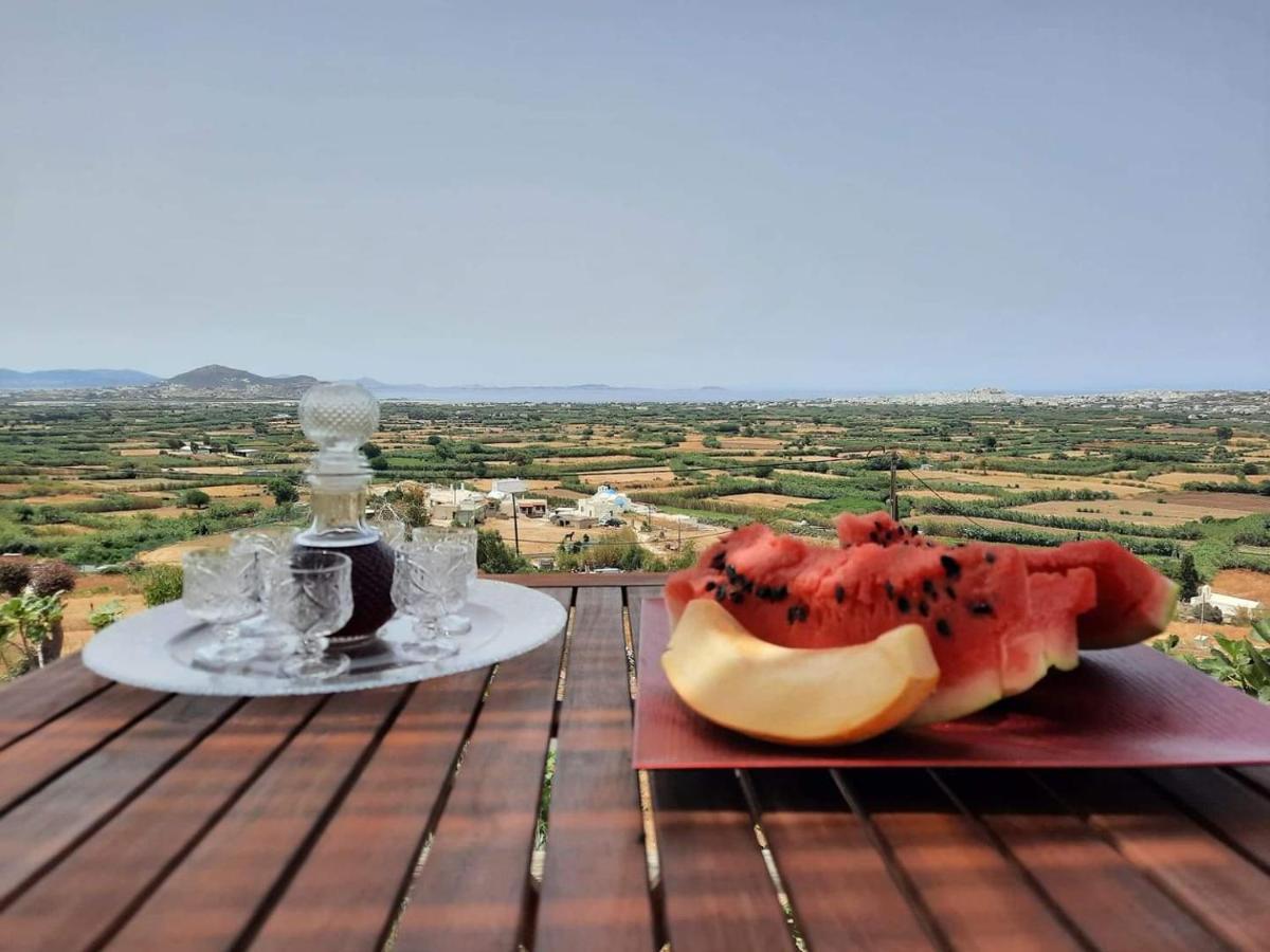 Janakos View Apartment With Private Pool Glinado Naxos Extérieur photo