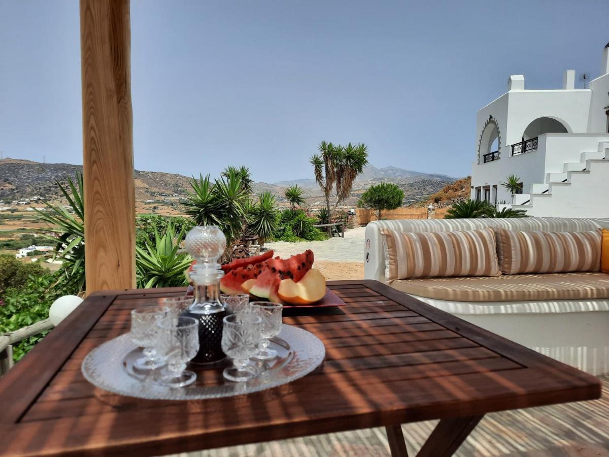 Janakos View Apartment With Private Pool Glinado Naxos Extérieur photo