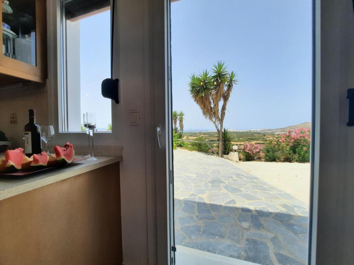 Janakos View Apartment With Private Pool Glinado Naxos Extérieur photo