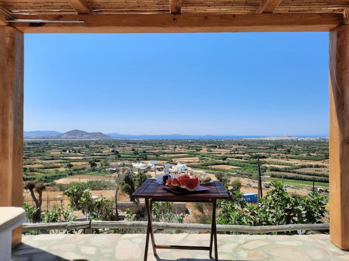 Janakos View Apartment With Private Pool Glinado Naxos Extérieur photo