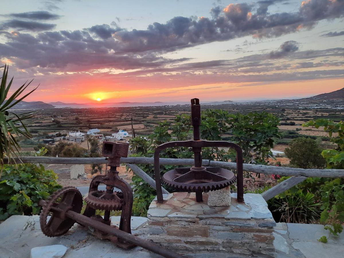 Janakos View Apartment With Private Pool Glinado Naxos Extérieur photo