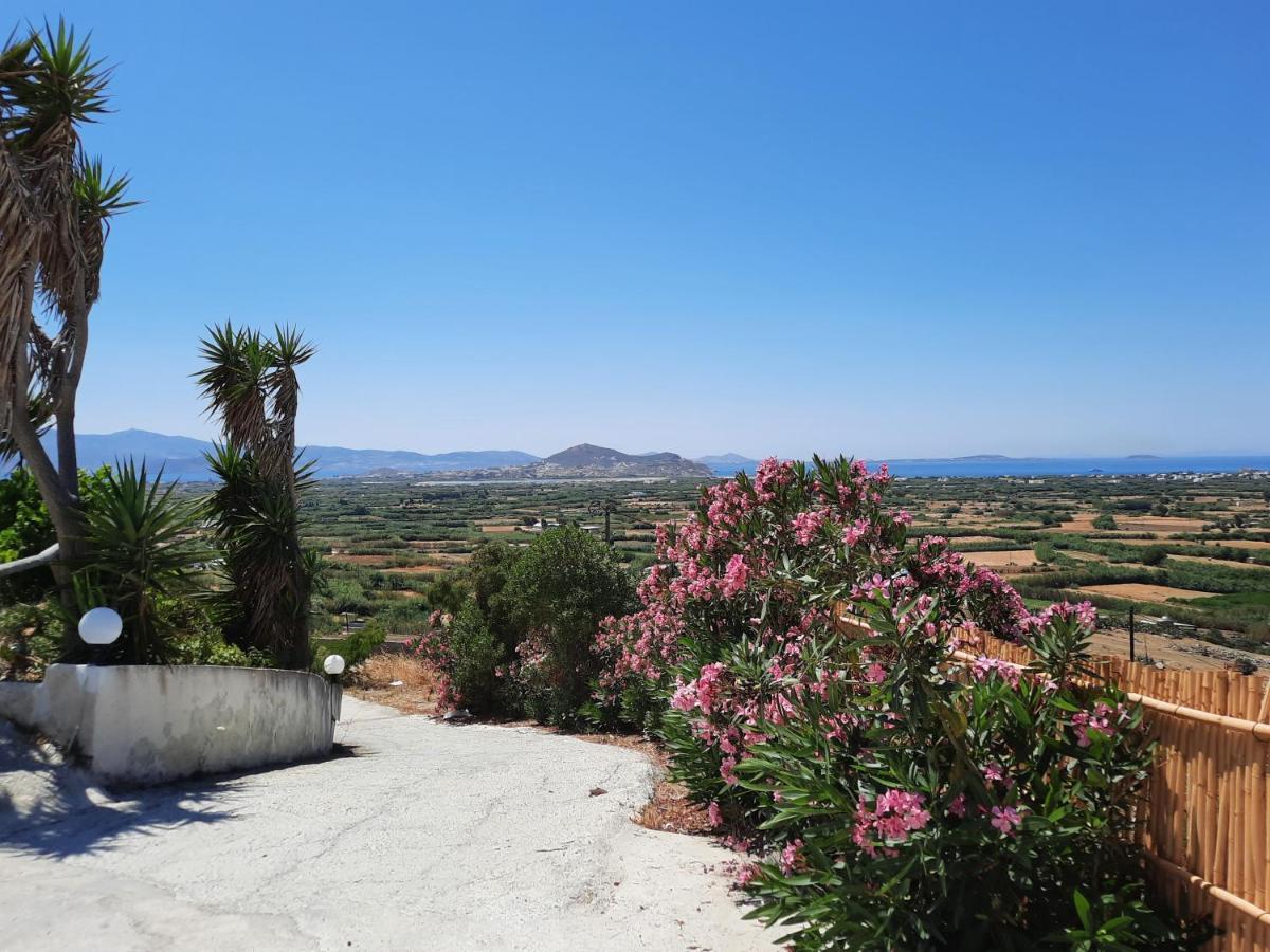 Janakos View Apartment With Private Pool Glinado Naxos Extérieur photo