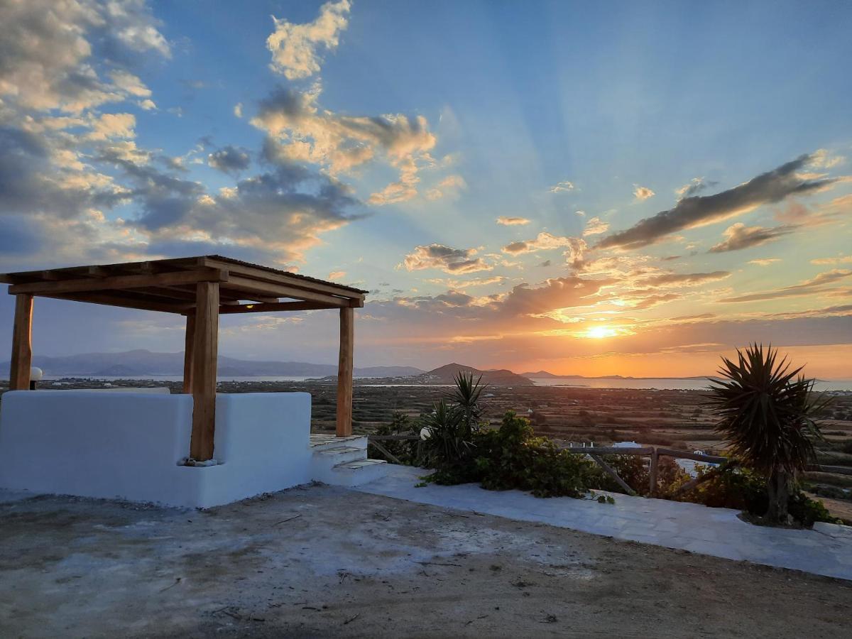 Janakos View Apartment With Private Pool Glinado Naxos Extérieur photo