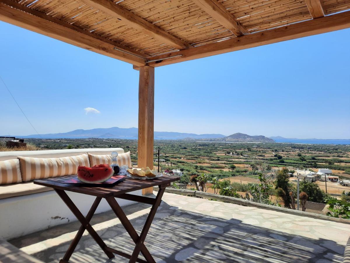 Janakos View Apartment With Private Pool Glinado Naxos Extérieur photo