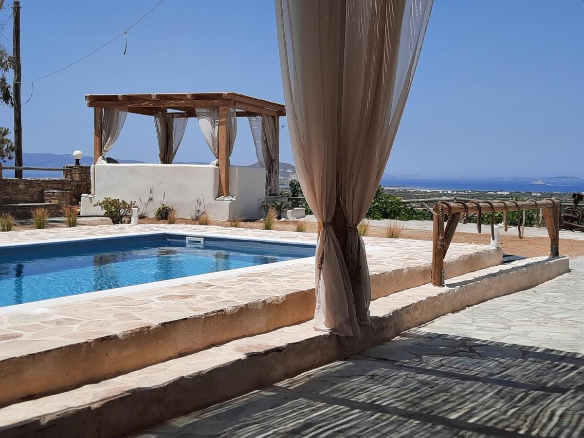 Janakos View Apartment With Private Pool Glinado Naxos Extérieur photo