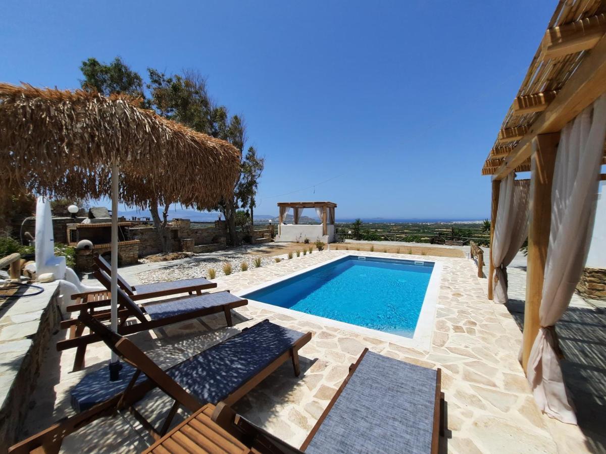 Janakos View Apartment With Private Pool Glinado Naxos Extérieur photo