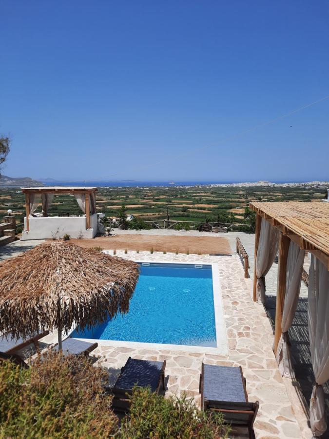 Janakos View Apartment With Private Pool Glinado Naxos Extérieur photo