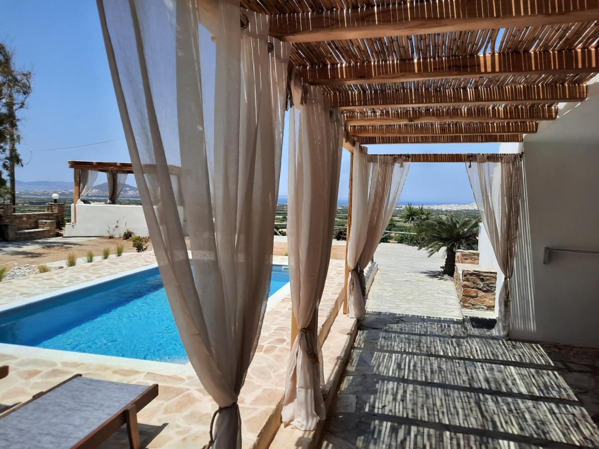 Janakos View Apartment With Private Pool Glinado Naxos Extérieur photo