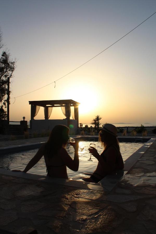 Janakos View Apartment With Private Pool Glinado Naxos Extérieur photo