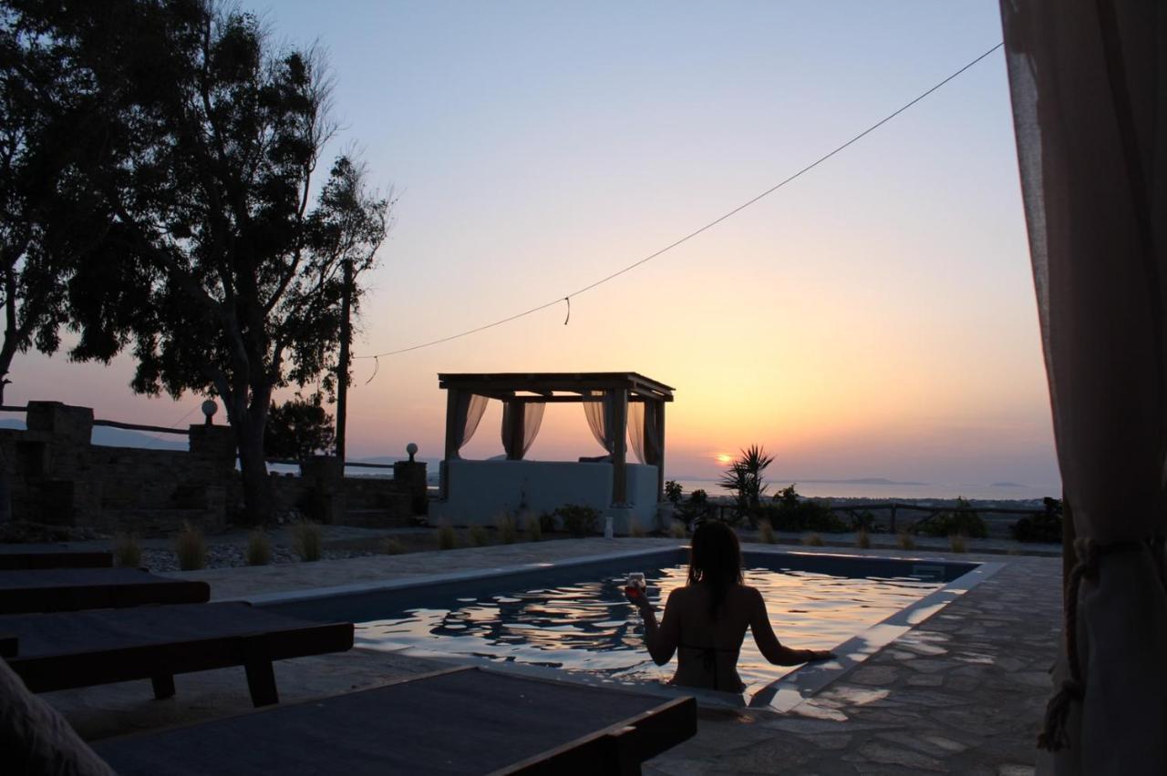 Janakos View Apartment With Private Pool Glinado Naxos Extérieur photo