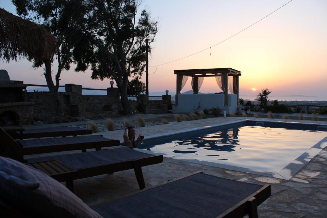 Janakos View Apartment With Private Pool Glinado Naxos Extérieur photo