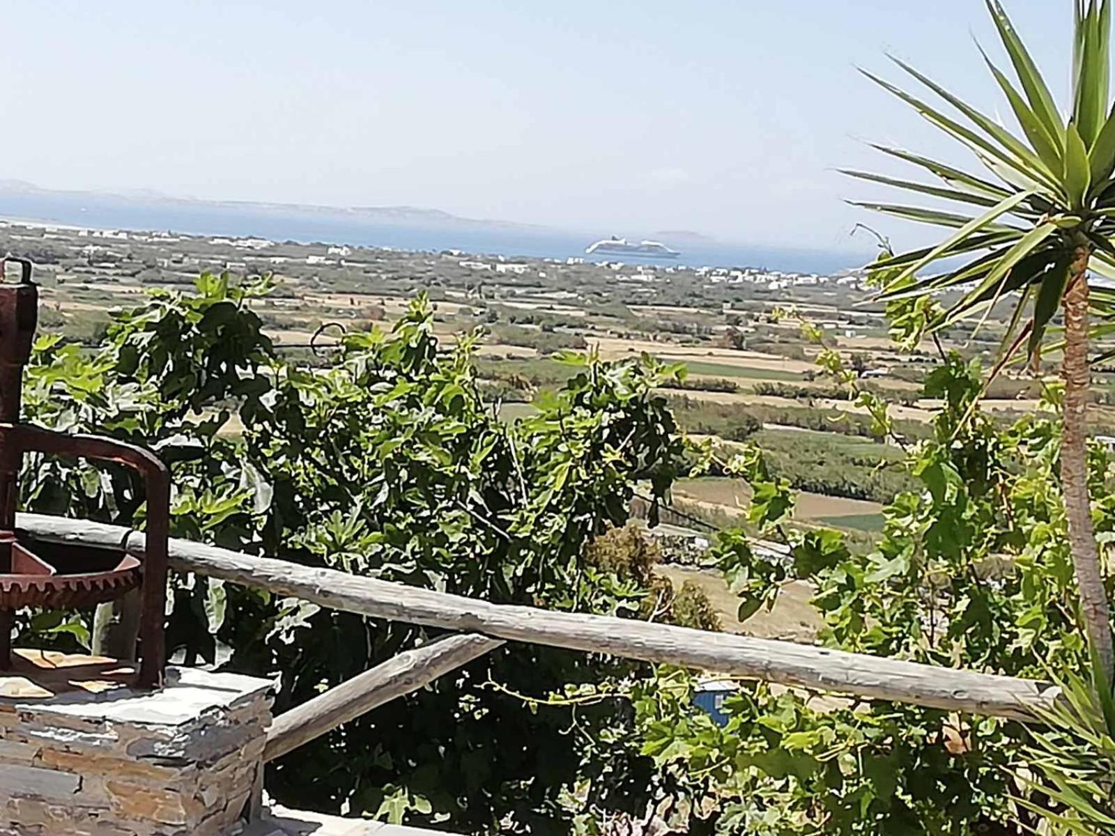 Janakos View Apartment With Private Pool Glinado Naxos Extérieur photo